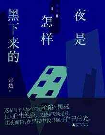 《夜是怎样黑下来的》 张楚