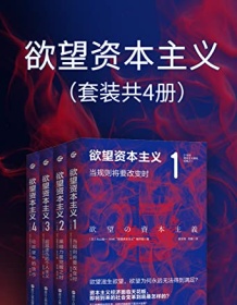 《欲望资本主义（套装共4册）》 丸山俊一