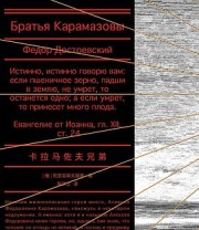 《卡拉马佐夫兄弟（精装文库本）》 陀思妥耶夫斯基