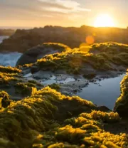 4K高清风景壁纸 (480)