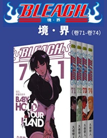 《境·界BLEACH死神（第8部：卷71~卷74）》 久保带人