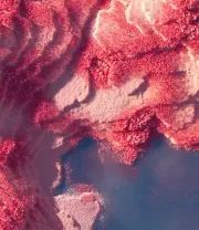 4K高清风景壁纸 (243)