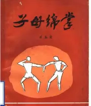 《子母绵掌》.pdf