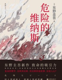 《危险的维纳斯》 东野圭吾