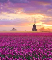 4K高清风景壁纸 (408)