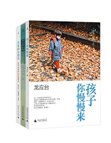 《龙应台“人生三书”（套装共3册）》 龙应台