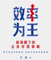 《效率为王》 卫哲
