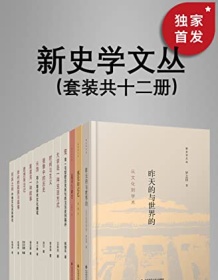 《新史学文丛（套装共12册）》 王东杰等