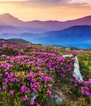 4K高清风景壁纸 (460)