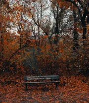 4K高清风景壁纸 (543)