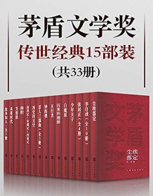 《茅盾文学奖传世经典15部装（共33册）》 李国文等