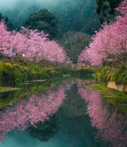 4K高清风景壁纸 (7)