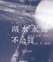 《湖水永远不会甜》 [意大利] 茱莉亚·卡米尼托