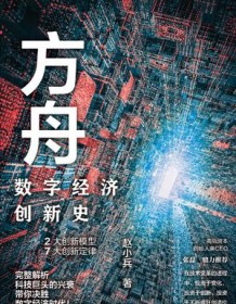 《方舟：数字经济创新史》 赵小兵