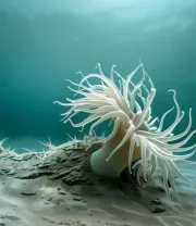 4K高清风景壁纸 (334)