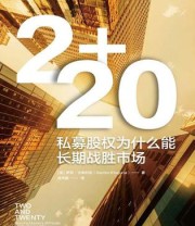 《2+20：私募股权为什么能长期战胜市场》 萨钦·卡朱利亚