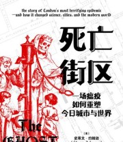 《死亡街区》 史蒂文·约翰逊