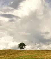 4K高清风景壁纸 (305)