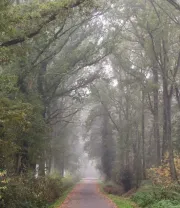 4K高清风景壁纸 (449)