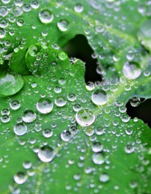 03186_waterdroplets