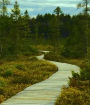 4K高清风景壁纸 (362)