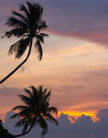 03732_maldiviansunset