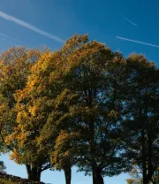 4K高清风景壁纸 (407)