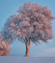 4K高清风景壁纸 (143)