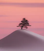 4K高清风景壁纸 (141)