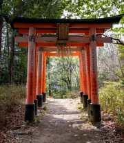 4K高清风景壁纸 (505)