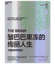 《皱巴巴果冻的绚丽人生》 大卫·伊格曼