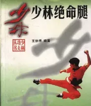《少林绝命腿》.pdf