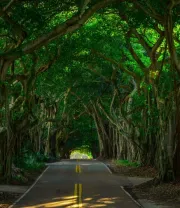 4K高清风景壁纸 (200)