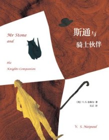 《斯通与骑士伙伴》 V.S.奈保尔