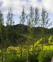 4K高清风景壁纸 (239)