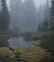 4K高清风景壁纸 (245)