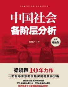 《中国社会各阶层分析》 梁晓声