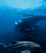 4K高清风景壁纸 (442)