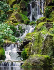 03866_thejapanesegardens