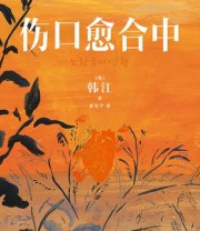 《伤口愈合中》 韩江