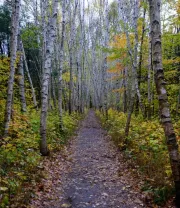 4K高清风景壁纸 (148)