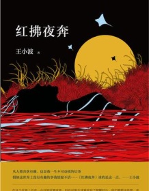 《红拂夜奔》 王小波