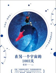 《在另一个宇宙的1003天》 张春