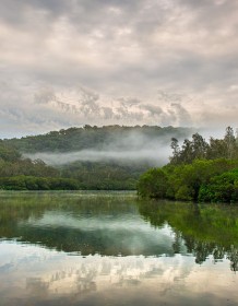 03616_mistymorningatberowacreek