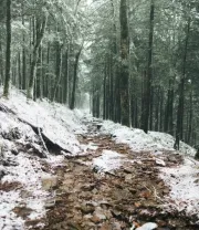 4K高清风景壁纸 (303)