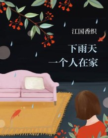 《下雨天一个人在家》 江国香织