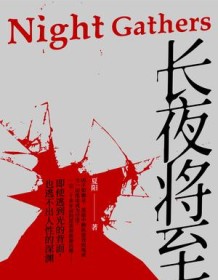 《长夜将至》 夏阳