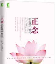 《正念 此刻是一枝花》  美 乔 卡巴 金（Jon Kabat Zinn）  著 王俊兰  译 ISBN 9787111499220