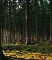 4K高清风景壁纸 (467)