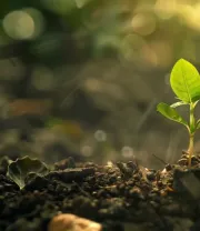 4K高清风景壁纸 (508)